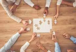 8. Identify new business opportunities